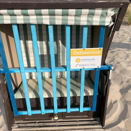 Apartment Ostseerose Ein Strandkorb Ist Im Sommer Inclusive Zempin Eksteriør billede