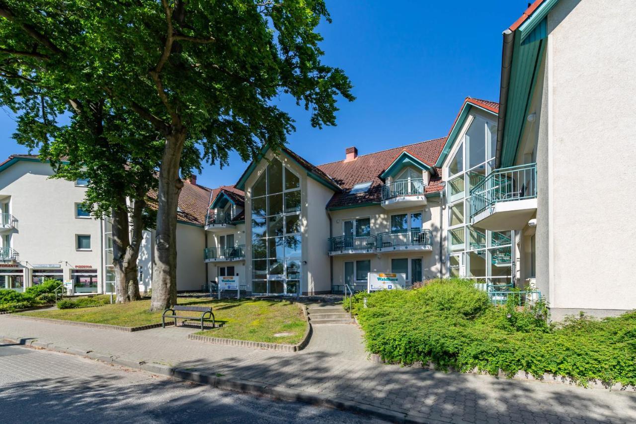 Apartment Ostseerose Ein Strandkorb Ist Im Sommer Inclusive Zempin Eksteriør billede