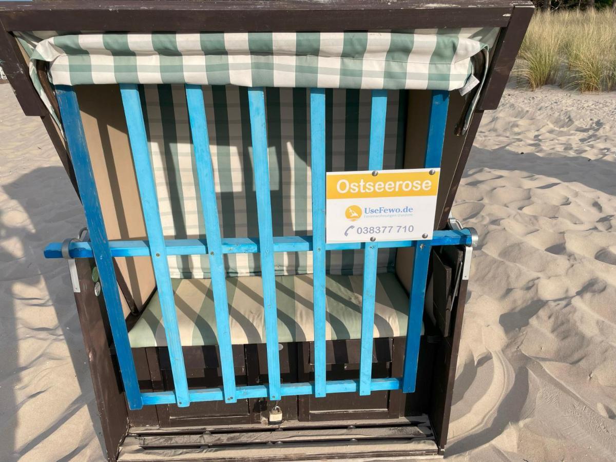 Apartment Ostseerose Ein Strandkorb Ist Im Sommer Inclusive Zempin Eksteriør billede