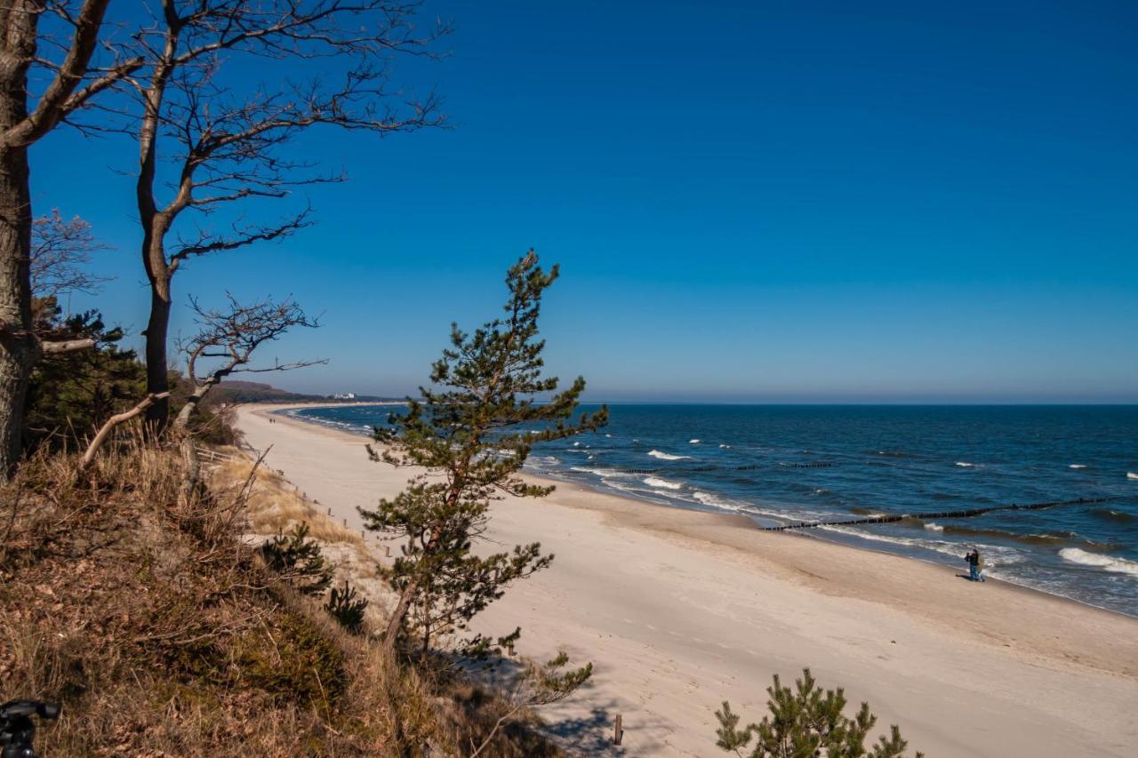 Apartment Ostseerose Ein Strandkorb Ist Im Sommer Inclusive Zempin Eksteriør billede